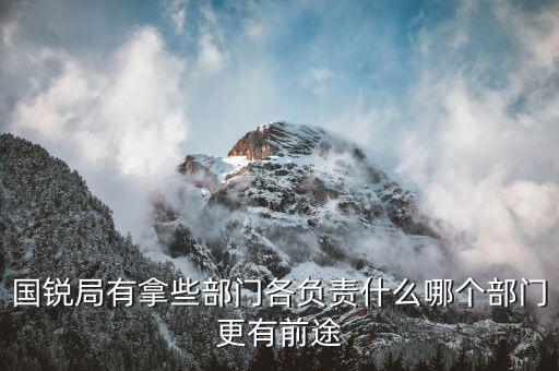 國(guó)銳局是辦什么，深圳公司入黑名單注銷吊銷