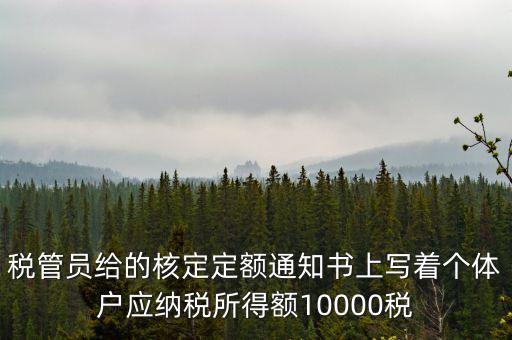 稅管員給的核定定額通知書上寫著個體戶應納稅所得額10000稅