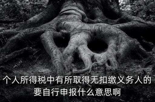 什么叫自行申報，個人所得稅中有所取得無扣繳義務人的要自行申報什么意思啊