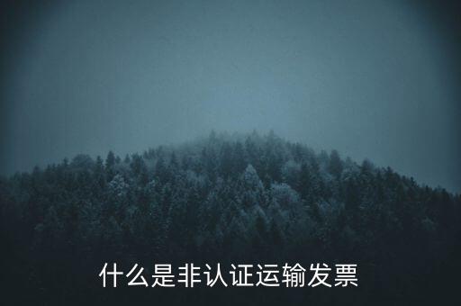 運(yùn)輸票是什么，運(yùn)輸發(fā)票是普通發(fā)票嗎