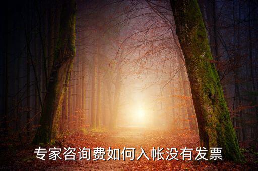 專家咨詢費(fèi)如何入帳沒(méi)有發(fā)票