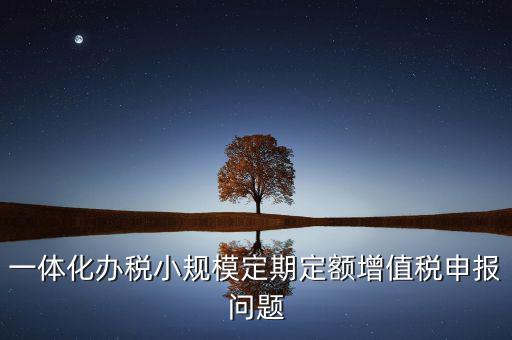 非定期定額戶申報(bào)是什么意思，一體化辦稅小規(guī)模定期定額增值稅申報(bào)問(wèn)題