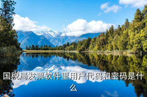 國稅用戶密碼是什么，你好我想問你 一下 網(wǎng)上國稅的用戶名和密碼是什么