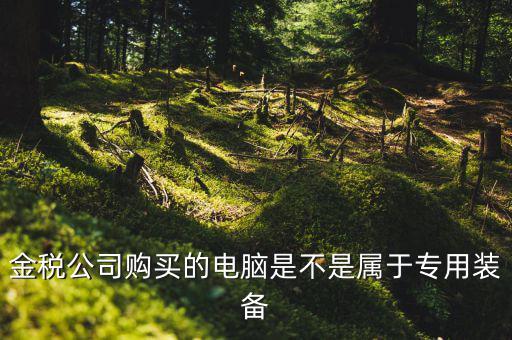 金稅設(shè)備什么時(shí)候買(mǎi)，金稅公司購(gòu)買(mǎi)的電腦是不是屬于專用裝備
