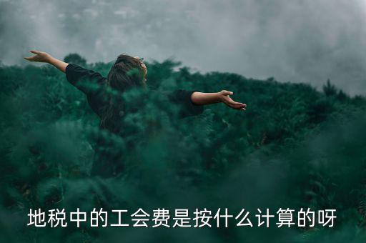 地稅代征的工會(huì)經(jīng)費(fèi)按什么計(jì)算，地稅中的工會(huì)費(fèi)是按什么計(jì)算的呀