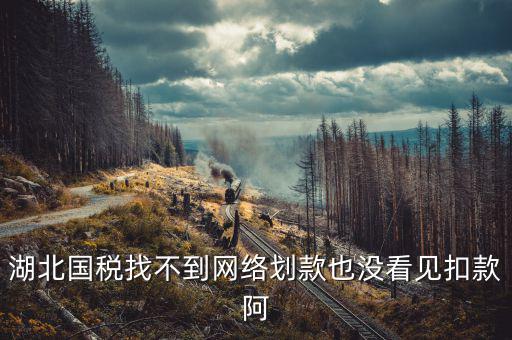 湖北省國(guó)稅局四個(gè)確保是什么，湖北國(guó)稅找不到網(wǎng)絡(luò)劃款也沒(méi)看見(jiàn)扣款阿