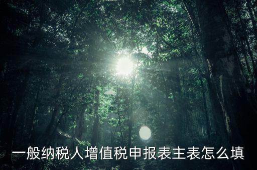 一般納稅人主表是什么，一般納稅人增值稅申報(bào)表主表怎么填