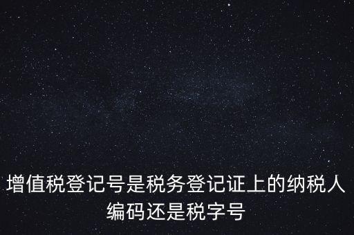 一般納稅人登記編號(hào)是什么，納稅人編號(hào)是什么