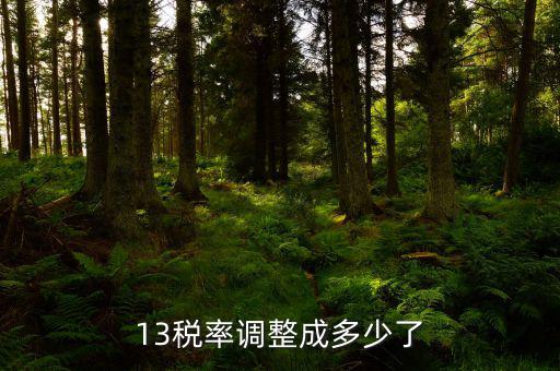 13稅率調整成多少了