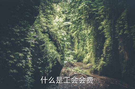 什么企業(yè)交工會經(jīng)費(fèi)，繳工會經(jīng)費(fèi)的依據(jù)是什么