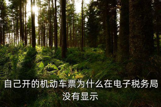 為什么登錄電子稅務(wù)局沒有反映，自己開的機動車票為什么在電子稅務(wù)局沒有顯示