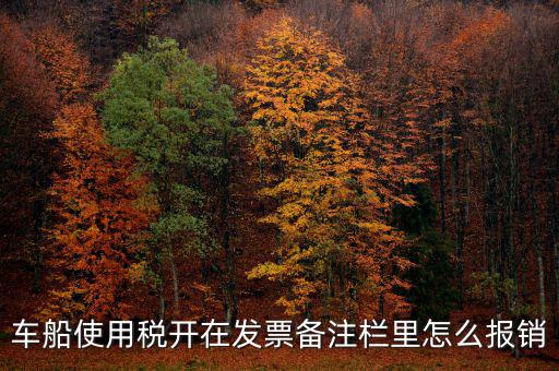 車船使用稅為什么在發(fā)票備注欄，保險(xiǎn)公司代收的車船稅稅款是填在備注欄里的么