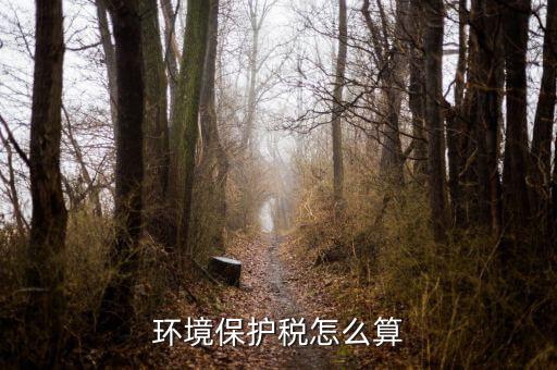 環(huán)保稅以什么為標(biāo)準(zhǔn)繳納，你認(rèn)為汽車環(huán)保稅應(yīng)該如何征收 具體點(diǎn) 謝謝