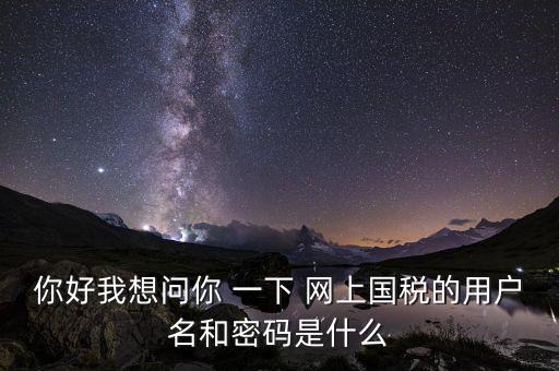 網(wǎng)上稅務(wù)辦理密碼是什么意思，國(guó)稅第一次網(wǎng)上申報(bào)的登陸密碼是什么