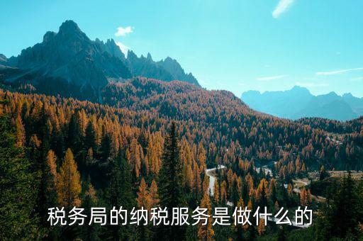 稅務(wù)全程服務(wù)的內(nèi)涵是什么，稅務(wù)是什么意思啊學(xué)什么內(nèi)容