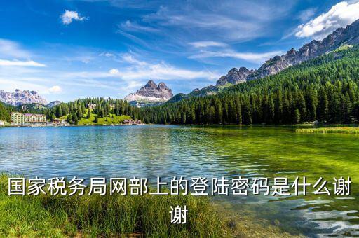 國家稅務局網部上的登陸密碼是什么謝謝