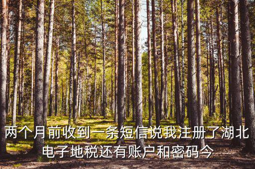地稅什么時(shí)候會給電子稅務(wù)密碼，報(bào)地稅的時(shí)候登陸密碼每天有幾次輸入機(jī)會