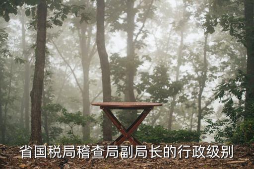 湖南稽查局長(zhǎng)什么級(jí)別，湖南廣電局紀(jì)檢組長(zhǎng)是什么級(jí)別