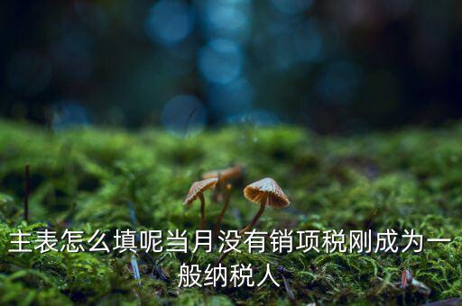 一般納稅人主表是什么意思，一般納稅人申報(bào)表主表的申明人必須輸入是什么意思