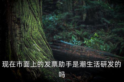 國稅發(fā)票助手是干什么的，現(xiàn)在市面上的發(fā)票助手是潮生活研發(fā)的嗎