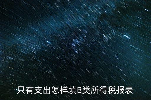 個(gè)人生產(chǎn)經(jīng)營所得B表稅金填什么，只有支出怎樣填B類所得稅報(bào)表