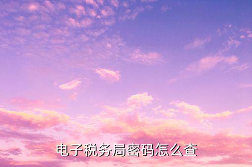 國(guó)稅申報(bào)默認(rèn)密碼是什么，電子稅務(wù)局的初始密碼是多少