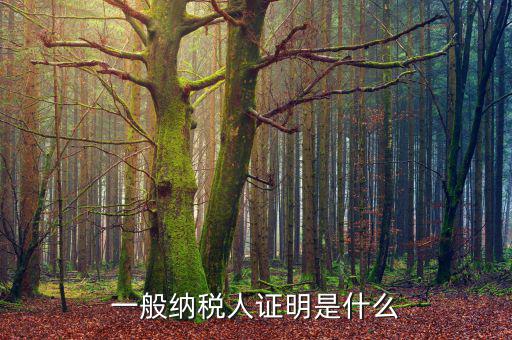 什么可以證明是一般納稅人，什么叫一般納稅人我如何辨別自己公司是否是一般納稅人