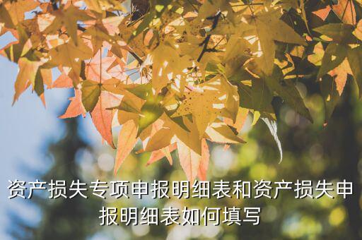 什么是專項(xiàng)資產(chǎn)損失申報(bào)表，所得稅申報(bào)表怎么填22資產(chǎn)損失