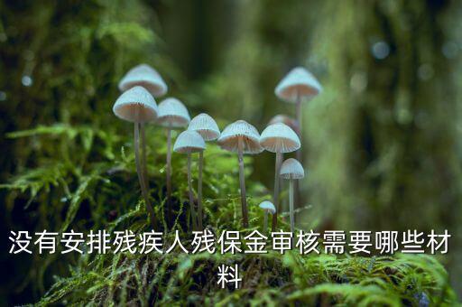 福建殘保金備案需要什么資料，求助2012年殘保金申請(qǐng)流程