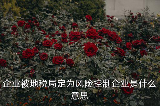 稅收風(fēng)險控制是什么，稅務(wù)風(fēng)險管理的稅務(wù)風(fēng)險管理制度