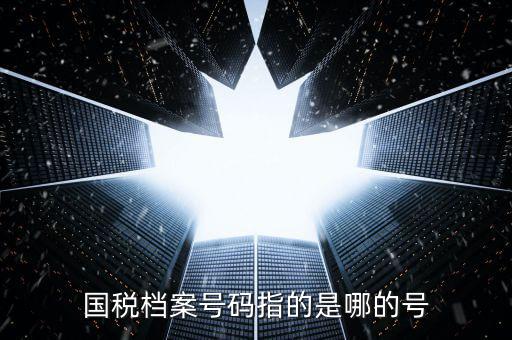 國稅號碼是什么，什么是國稅檔案號