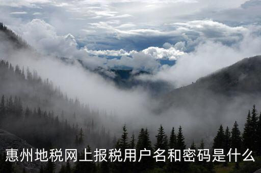 惠州地稅網(wǎng)上報(bào)稅用戶(hù)名和密碼是什么