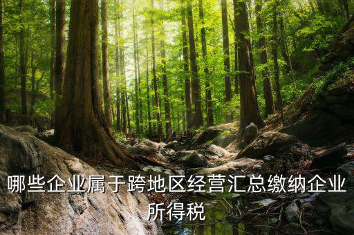 跨地區(qū)經(jīng)營匯總納稅指的是什么，哪些企業(yè)屬于跨地區(qū)經(jīng)營匯總繳納企業(yè)所得稅