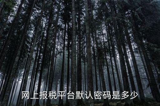 網(wǎng)上報稅平臺默認(rèn)密碼是多少