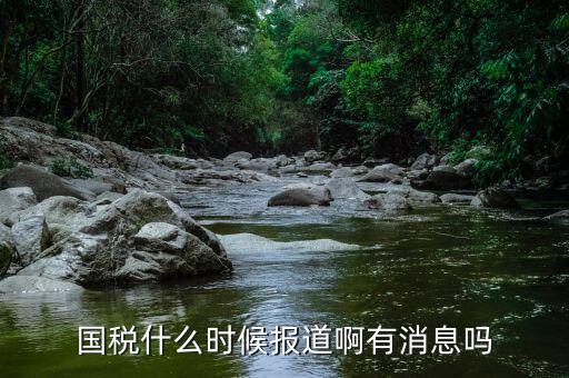 國稅同崗?fù)I什么時(shí)候?qū)崿F(xiàn)，請(qǐng)問國稅什么時(shí)候才能實(shí)現(xiàn)陽光工資