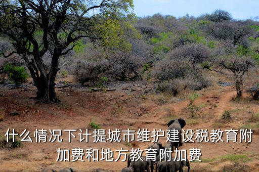 什么情況下免交地方教育稅附加，什么情況下計(jì)提城市維護(hù)建設(shè)稅教育附加費(fèi)和地方教育附加費(fèi)