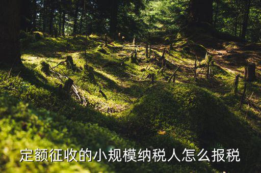 小規(guī)模納稅人 什么定額申報(bào)，定額征收的小規(guī)模納稅人怎么報(bào)稅
