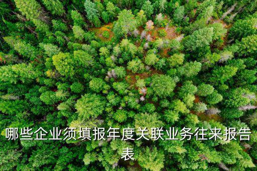 哪些企業(yè)須填報年度關(guān)聯(lián)業(yè)務(wù)往來報告表