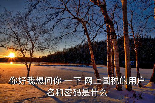 電子稅務(wù)的賬號密碼是什么，你好我想問你 一下 網(wǎng)上國稅的用戶名和密碼是什么