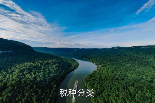 鋁制品稅收分類屬于什么，鋁蓋屬于稅收分類的哪一種