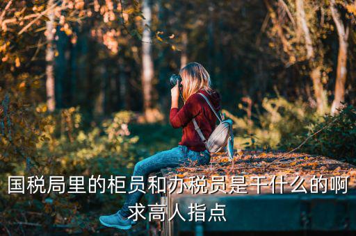 國(guó)稅局導(dǎo)稅員干什么的，國(guó)稅局里的柜員和辦稅員是干什么的啊求高人指點(diǎn)