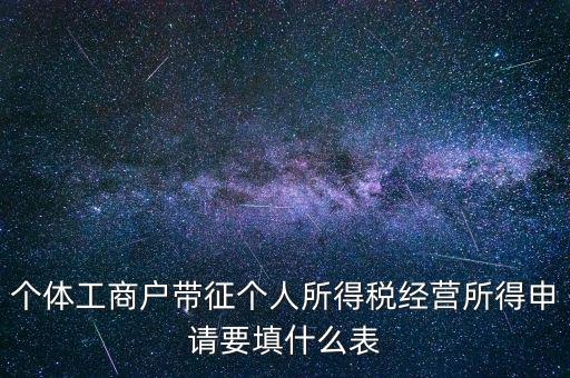 個體所得稅填什么表，個稅表怎么填