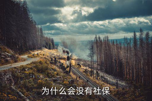 申報社保為什么沒有社保內(nèi)容，為什么會沒有社保