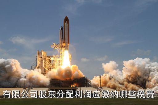 公司股東需要交什么稅，有限公司股東分配利潤應(yīng)繳納哪些稅費