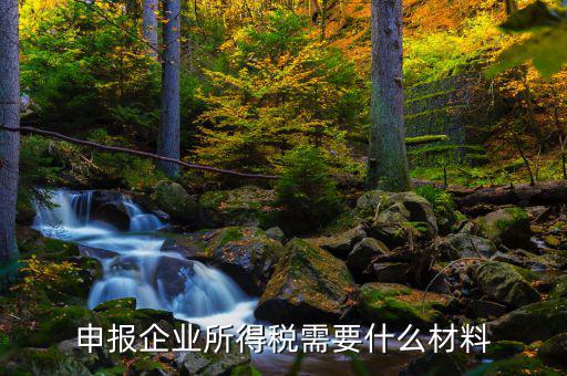 企業(yè)所得稅補(bǔ)申報(bào)需要什么，申報(bào)企業(yè)所得稅需要什么材料