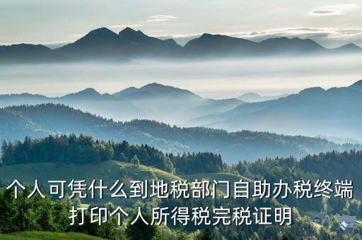 稅務局自助辦稅服務終端是什么，自助辦稅終端 報稅