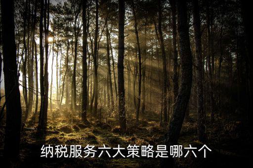 六大減稅措施是什么，針對(duì)個(gè)稅的減稅政策有哪些