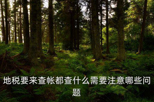 地稅主要查什么，地稅查賬一般都查哪些方面呢