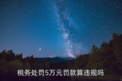 稅務(wù)重大違規(guī)是指什么，登錄國稅國稅的違章信息是什么意思