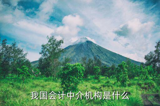 什么是涉稅中介機(jī)構(gòu)，我國(guó)會(huì)計(jì)中介機(jī)構(gòu)是什么